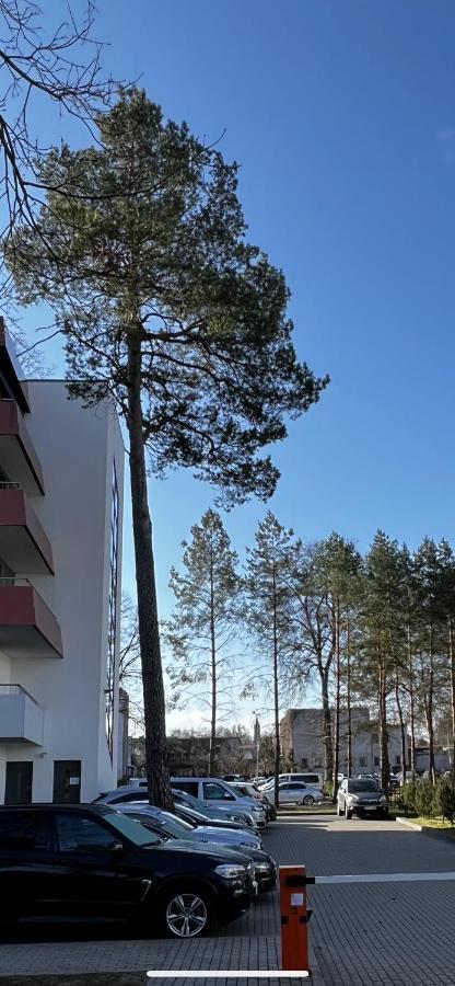 Alejos Apartmentai Comfort ดรูซกินินไก ภายนอก รูปภาพ